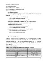 Diplomdarbs 'Pamatlīdzekļi, to uzskaite un nolietojuma aprēķināšana SIA "Hansa capital"', 41.