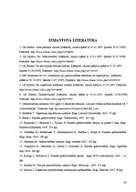 Diplomdarbs 'Pamatlīdzekļi, to uzskaite un nolietojuma aprēķināšana SIA "Hansa capital"', 48.