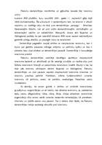 Referāts 'Demokrātijas bezspēcība starptautiskā terorisma priekšā', 2.