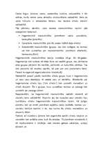 Eseja 'Dzimumpolitika. Hegemoniskā maskulinitāte un tās ietekme uz sieviešu situāciju s', 2.