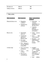 Biznesa plāns 'Biznesa plāns - Radošās izpausmes mākslas studija - Virsis', 8.