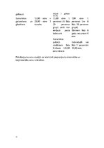 Biznesa plāns 'Biznesa plāns - Radošās izpausmes mākslas studija - Virsis', 11.