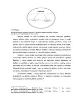 Referāts 'Pētniecības finansējumu veidi un avoti', 6.