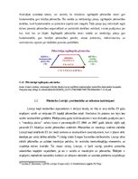 Referāts 'Pētniecības finansējumu veidi un avoti', 10.