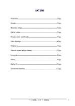 Referāts 'Viduslaiku Vācija', 2.