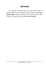 Referāts 'Viduslaiku Vācija', 3.