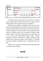 Referāts 'Viduslaiku Vācija', 4.