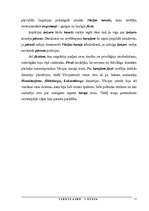 Referāts 'Viduslaiku Vācija', 11.