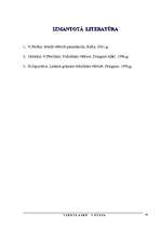 Referāts 'Viduslaiku Vācija', 20.