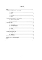 Referāts 'SIA "Roze GV" iekšējā analīze', 3.