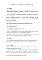 Referāts 'SIA "Roze GV" iekšējā analīze', 5.