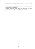 Referāts 'SIA "Roze GV" iekšējā analīze', 19.