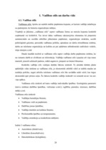 Referāts 'SIA "Roze GV" iekšējā analīze', 20.