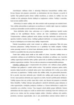 Referāts 'SIA "Roze GV" iekšējā analīze', 21.