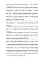 Referāts 'SIA "Roze GV" iekšējā analīze', 22.