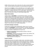 Konspekts 'Eirāzijas stepju klejotāji: vēsture, kultūra, mitoloģija, sabiedrība un kultūras', 12.