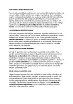 Konspekts 'Eirāzijas stepju klejotāji: vēsture, kultūra, mitoloģija, sabiedrība un kultūras', 31.