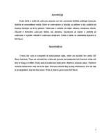 Referāts 'Datormācība ekonomistiem', 3.