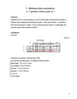 Referāts 'Datormācība ekonomistiem', 11.