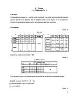 Referāts 'Datormācība ekonomistiem', 21.