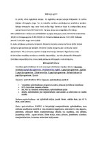 Eseja 'Vērtspapīri', 1.