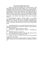 Referāts 'Dzintars', 3.