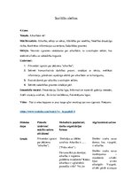 Konspekts 'Atkarībām nē!', 1.