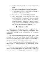 Referāts 'Reformācijas ideoloģiskā būtība', 7.