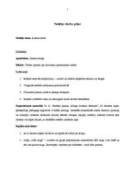 Konspekts 'Integrētas nodarbības konspekts kvalifikācijas eksāmenam pirmsskolā', 2.