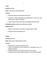 Konspekts 'Integrētas nodarbības konspekts kvalifikācijas eksāmenam pirmsskolā', 3.