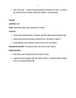 Konspekts 'Integrētas nodarbības konspekts kvalifikācijas eksāmenam pirmsskolā', 5.