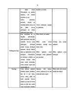 Konspekts 'Integrētas nodarbības konspekts kvalifikācijas eksāmenam pirmsskolā', 10.