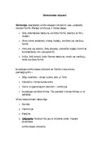 Referāts 'Klasicisms', 8.