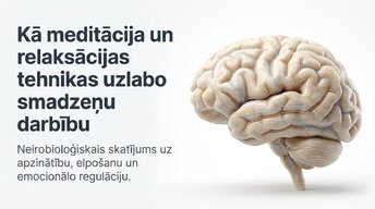 Prezentācija 'Kā meditācija un relaksācijas tehnikas uzlabo smadzeņu darbību', 1.