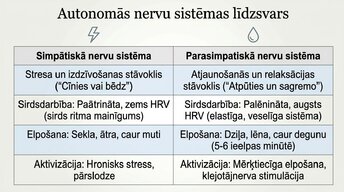 Prezentācija 'Kā meditācija un relaksācijas tehnikas uzlabo smadzeņu darbību', 8.