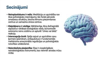 Prezentācija 'Kā meditācija un relaksācijas tehnikas uzlabo smadzeņu darbību', 13.