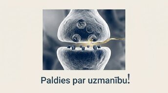 Prezentācija 'Kā meditācija un relaksācijas tehnikas uzlabo smadzeņu darbību', 16.