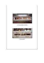 Referāts 'Ergonomiskas virtuves interjera izveides pamatprincipi', 6.