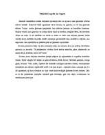 Referāts 'Ergonomiskas virtuves interjera izveides pamatprincipi', 13.