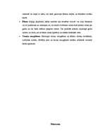 Referāts 'Ergonomiskas virtuves interjera izveides pamatprincipi', 15.