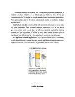 Referāts 'Ergonomiskas virtuves interjera izveides pamatprincipi', 20.