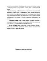 Referāts 'Ergonomiskas virtuves interjera izveides pamatprincipi', 23.