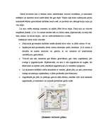 Referāts 'Ergonomiskas virtuves interjera izveides pamatprincipi', 29.