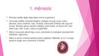 Prezentācija 'Prenetālais periods', 4.