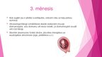 Prezentācija 'Prenetālais periods', 6.