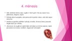 Prezentācija 'Prenetālais periods', 7.