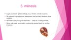 Prezentācija 'Prenetālais periods', 9.