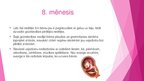 Prezentācija 'Prenetālais periods', 11.