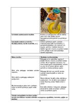 Prakses atskaite 'Pirmsskolas izglītības agrīnās prakses atskaite', 18.