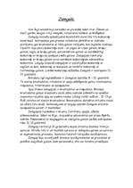 Referāts 'Rotas Latvijas teritorijā no 9.-14.gadsimtam', 3.